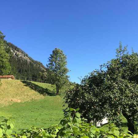 Ferienwohnungen Landinger Aschau im Chiemgau Exterior photo