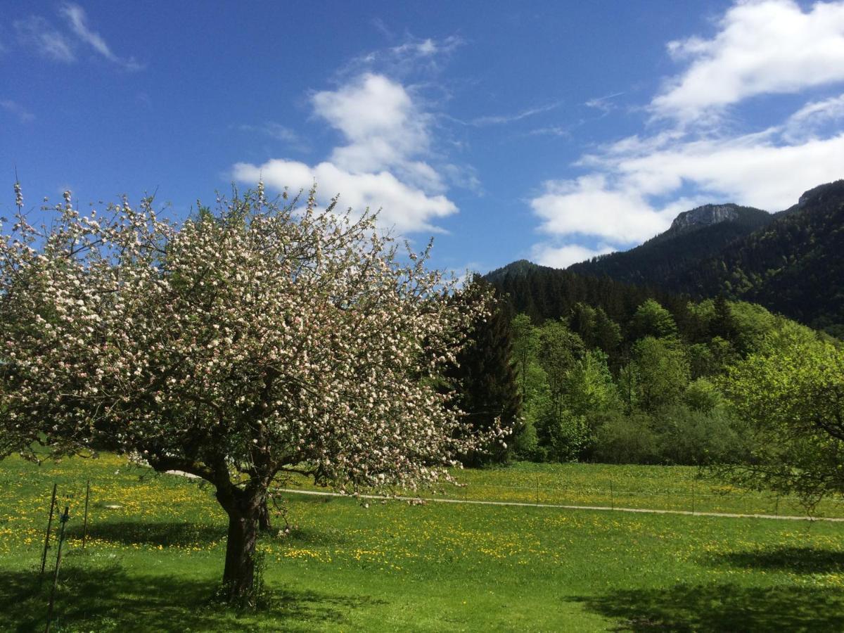 Ferienwohnungen Landinger Aschau im Chiemgau Exterior photo